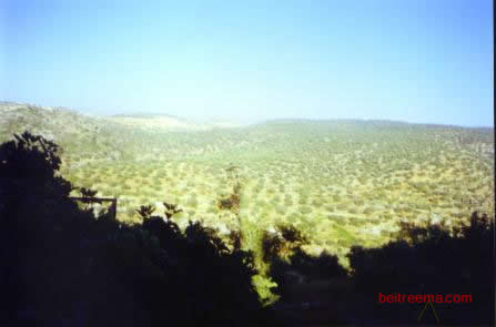 Ras alGhorab if look closely you can see a natural spring aljabiah